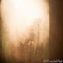 20130719_IMG_7232